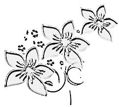 Blumen hell