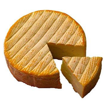 Käse 349x349